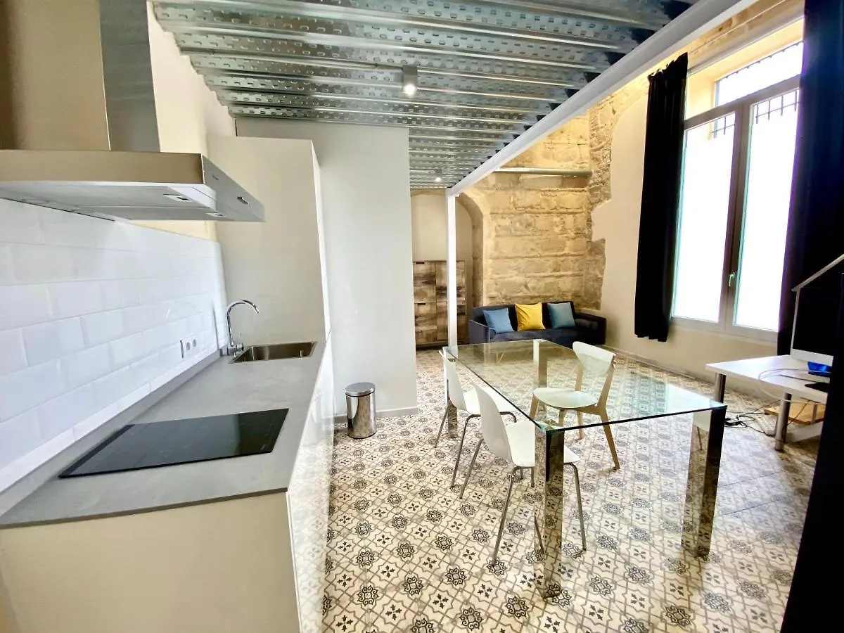 Apartamento Loft Jerez Centro Jerez de la Frontera España