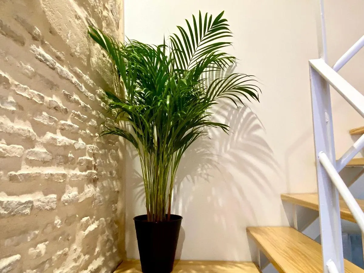 Apartamento Loft Jerez Centro Jerez de la Frontera 0*,